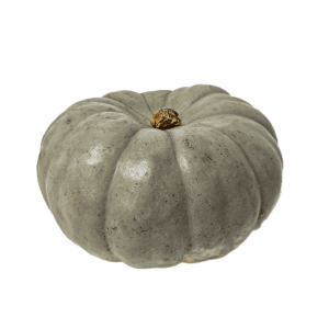 тыква (Джаррадейл)