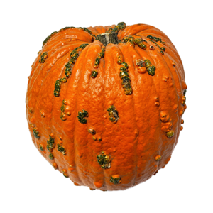 огромная тыква